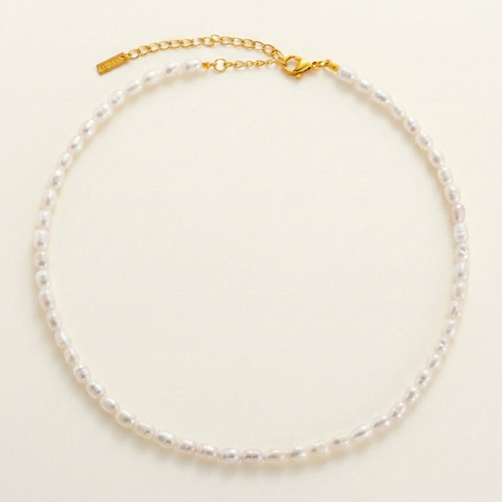 Isola Pearl Choker